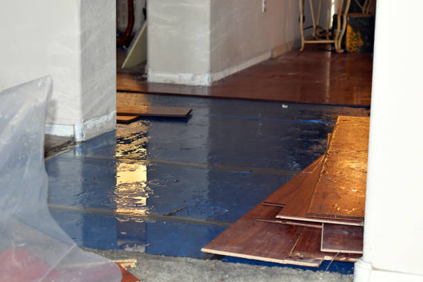 Professional Basement Flood Cleanup technician working in Auburn, MI